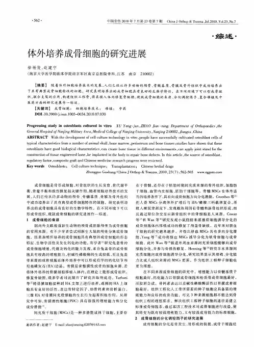 体外培养成骨细胞的研究进展
