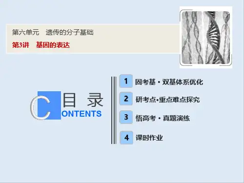 2019版一轮优化探究生物(人教版)课件：第六单元 第3讲 基因的表达 
