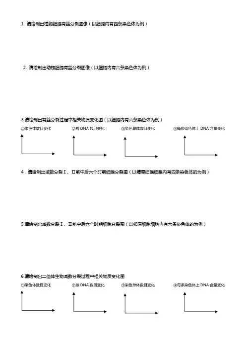 有丝分裂、减数分裂画图