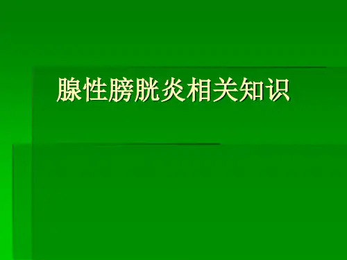 腺性膀胱炎
