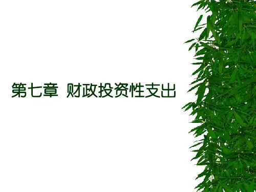 财政学课件第七章 财政投资性支出