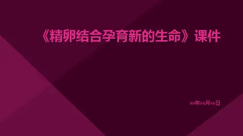 《精卵结合孕育新的生命》课件