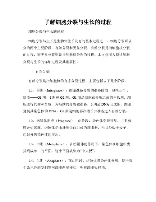 了解细胞分裂与生长的过程