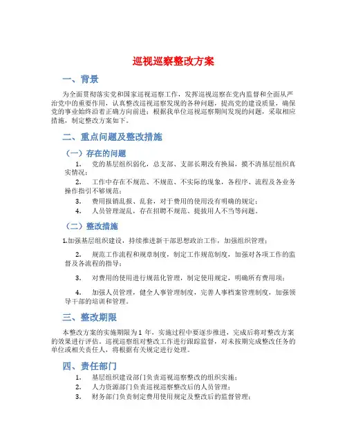巡视巡察整改方案