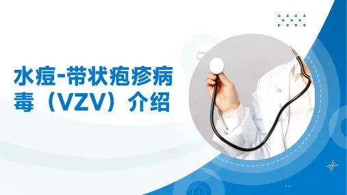 水痘-带状疱疹病毒介绍PPT