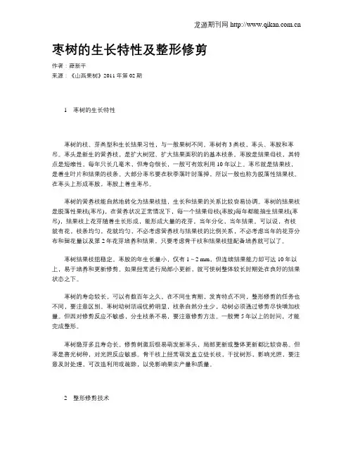 枣树的生长特性及整形修剪
