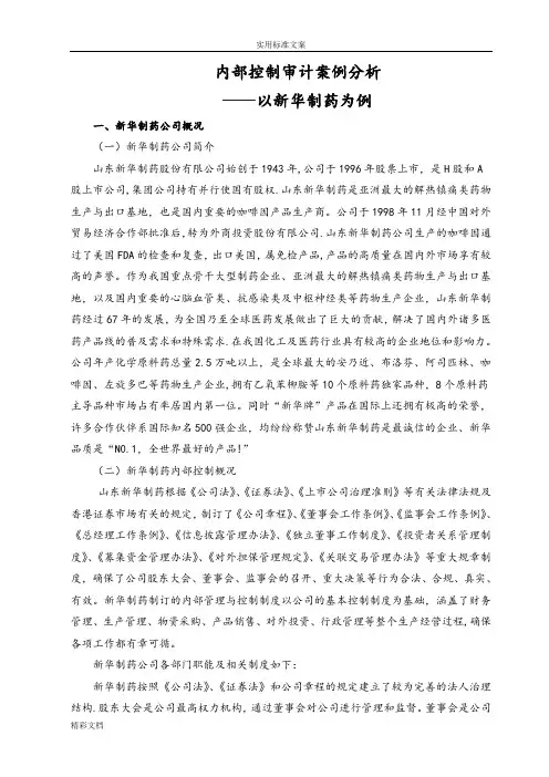 内部控制审计案例分析报告