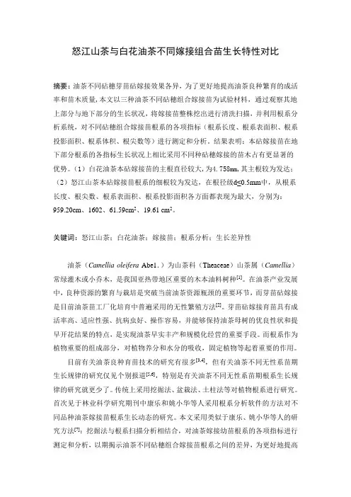 油茶不同砧穗组合嫁接苗根系生长差异性分析