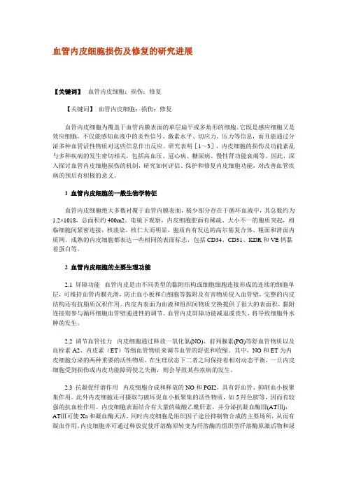 血管内皮细胞损伤及修复的研究进展