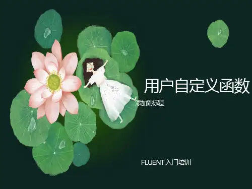 用户自定义函数 FLUENT 入门培训