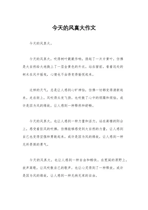 今天的风真大作文