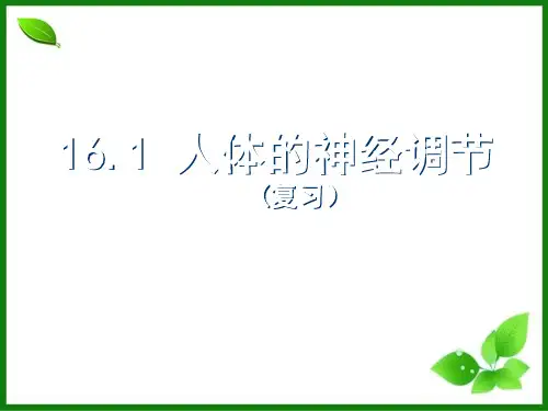 苏教版人体的神经调节PPT精美课件1