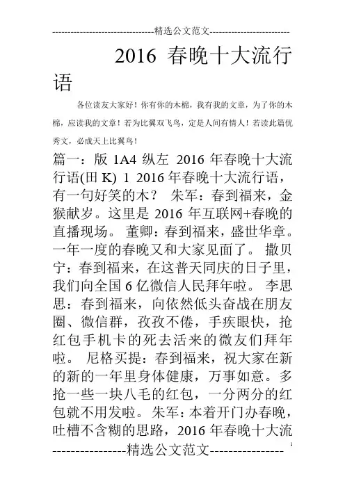 2016春晚十大流行语