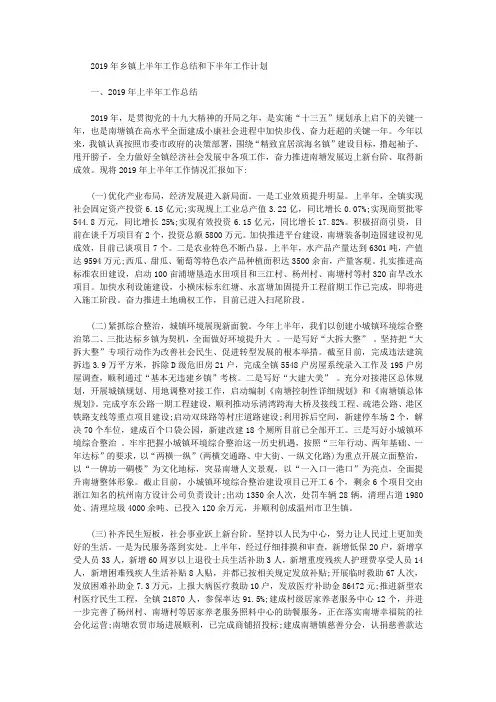 2019年乡镇上半年工作总结和下半年工作计划