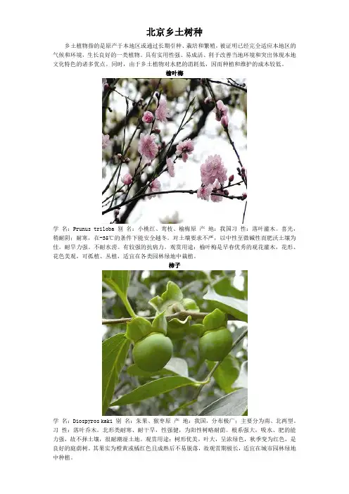 北京乡土植物