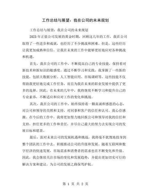 工作总结与展望：我在公司的未来规划