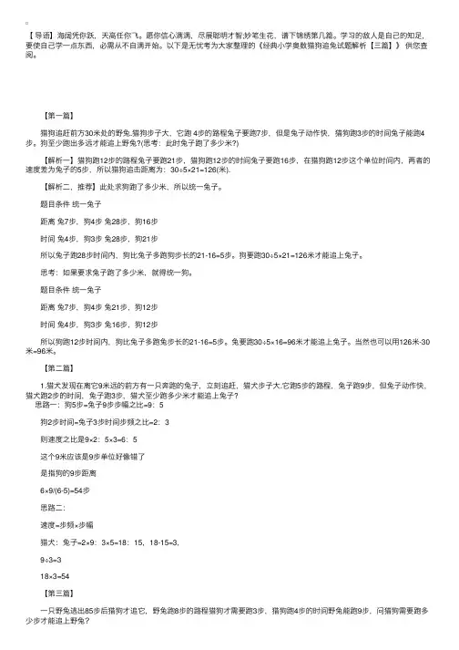 经典小学奥数猎狗追兔试题解析【三篇】