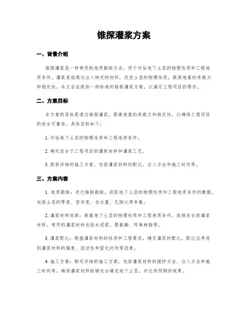 锥探灌浆方案