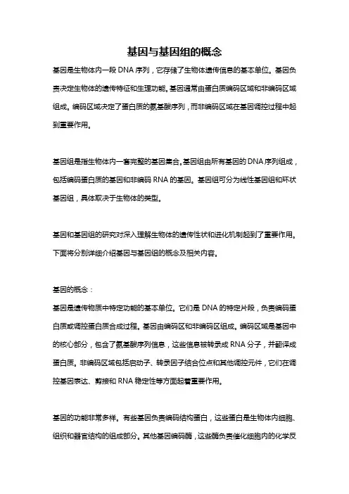 基因与基因组的概念