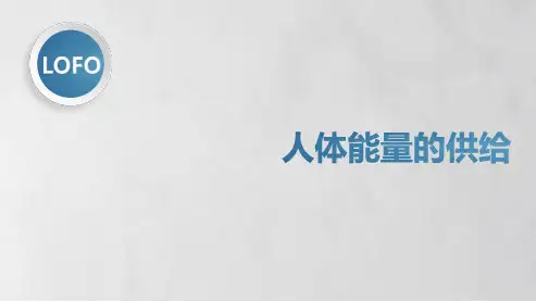 第五节人体能量的供给-苏教版七年级下册生物课件