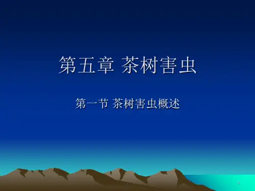茶树害虫PPT课件