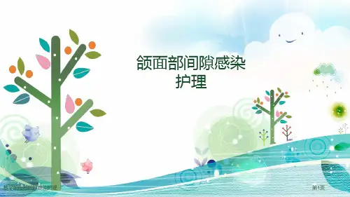 教学颌面部间隙感染护理