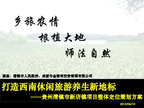 贵州省清镇市新店镇新型城镇化项目整体定位及发展战略2014-6-10