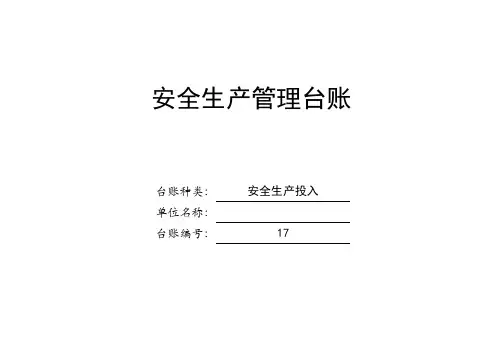 安全生产管理台账(十七)安全生产投入