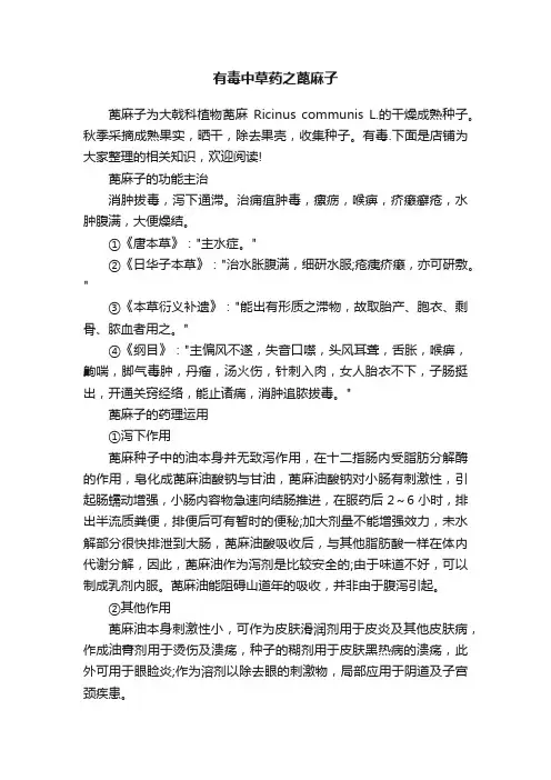 有毒中草药之蓖麻子