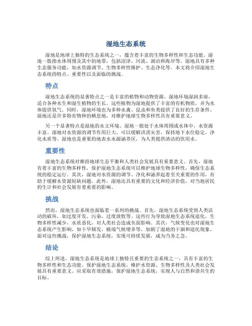 湿地生态系统