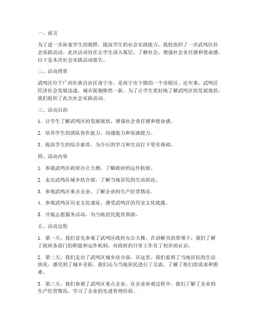 武鸣区社会实践活动报告