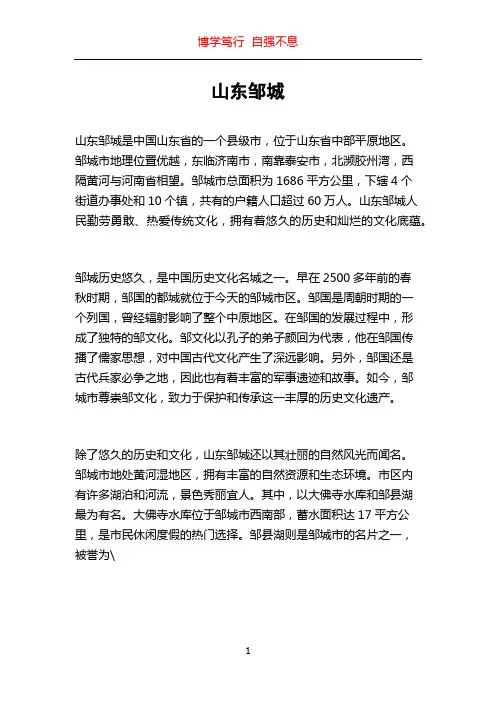 山东邹城_精品文档