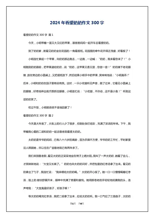 2024年看望奶奶作文300字