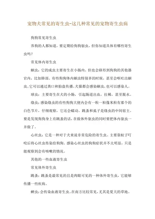 宠物犬常见的寄生虫-这几种常见的宠物寄生虫病
