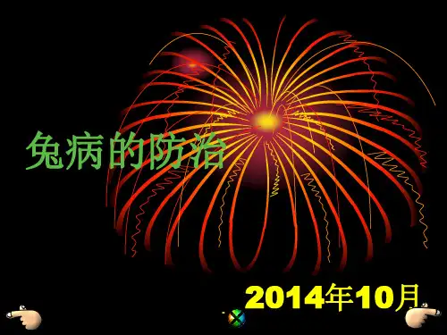 兔病的防治ppt课件