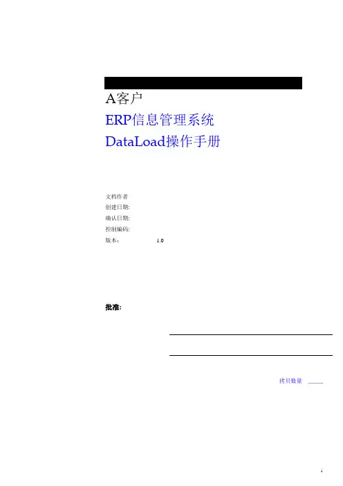 操作手册-DataLoad