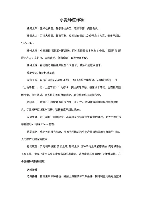 小麦种植标准