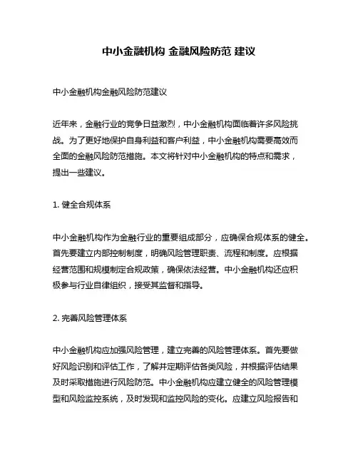 中小金融机构 金融风险防范 建议