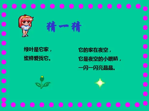 苏教版语文一年级下册：6.13 鲜花和星星 课件 (3)(共27张PPT)
