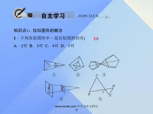 九年级数学上册48图形位似1新版北师大版