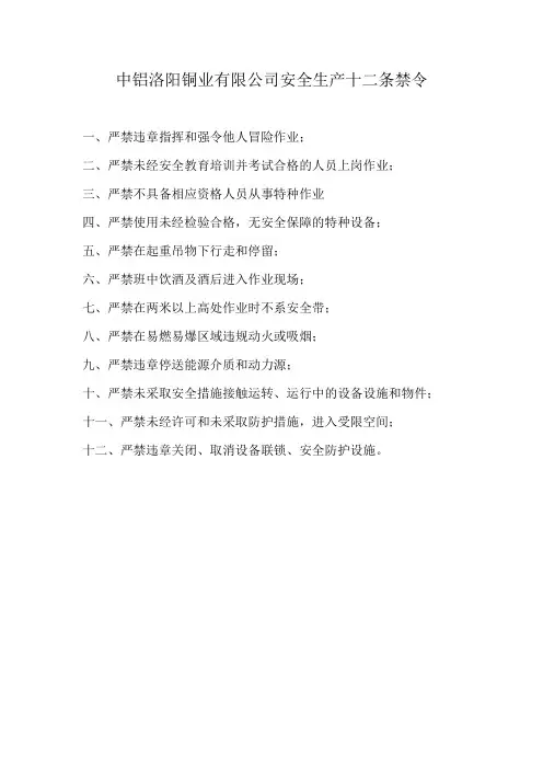 中铝洛阳铜业有限公司安全生产十二条禁令
