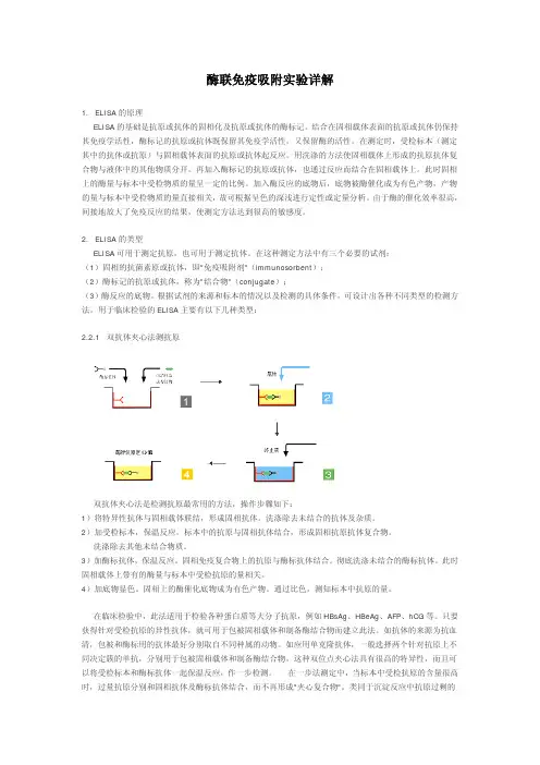 酶联免疫吸附实验详解