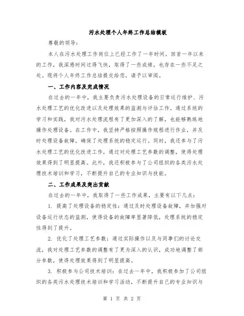 污水处理个人年终工作总结模板