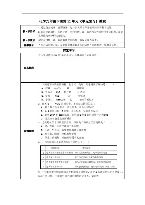 化学九年级下册第11单元《单元复习》教案