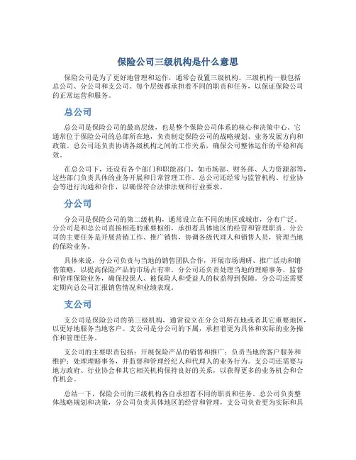 保险公司三级机构是什么意思