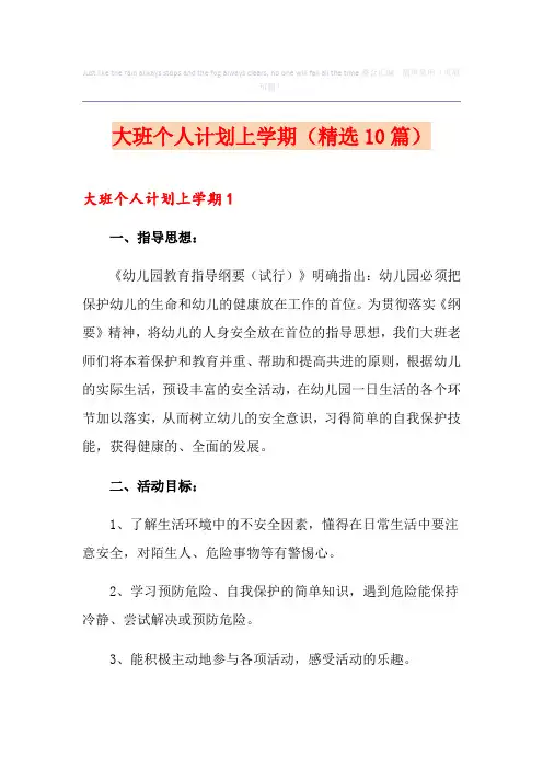 大班个人计划上学期(精选10篇)
