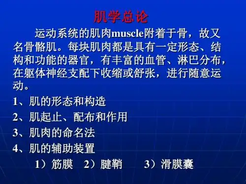 肌学总论 PPT课件