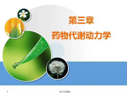 药理学 第三章  药物代谢动力学PPT课件
