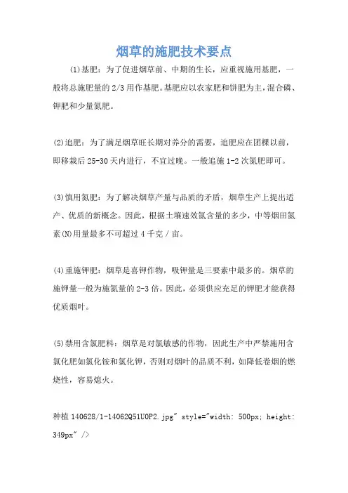 烟草的施肥技术要点