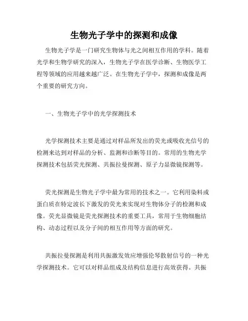 生物光子学中的探测和成像
